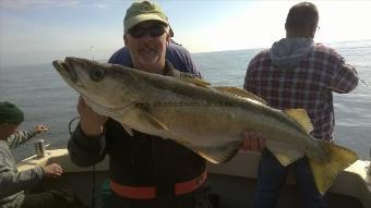 13 lb Pollock by Stephen Wake