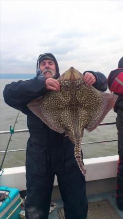 15 lb 4 oz Thornback Ray by dave marsh