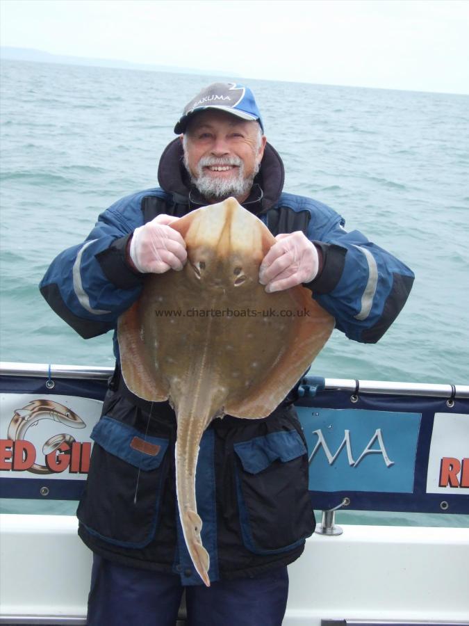 7 lb 8 oz Small-Eyed Ray by Ian Youngs