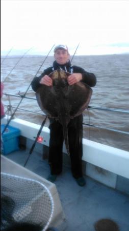 17 lb Blonde Ray by alan