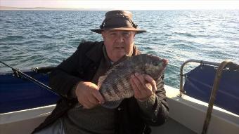 3 lb 8 oz Black Sea Bream by Stephen Wake