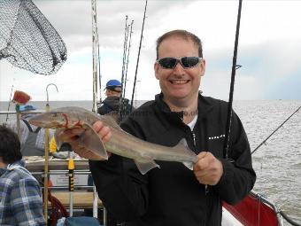 4 lb Starry Smooth-hound by geof