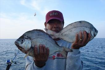 4 lb Black Sea Bream by johnny