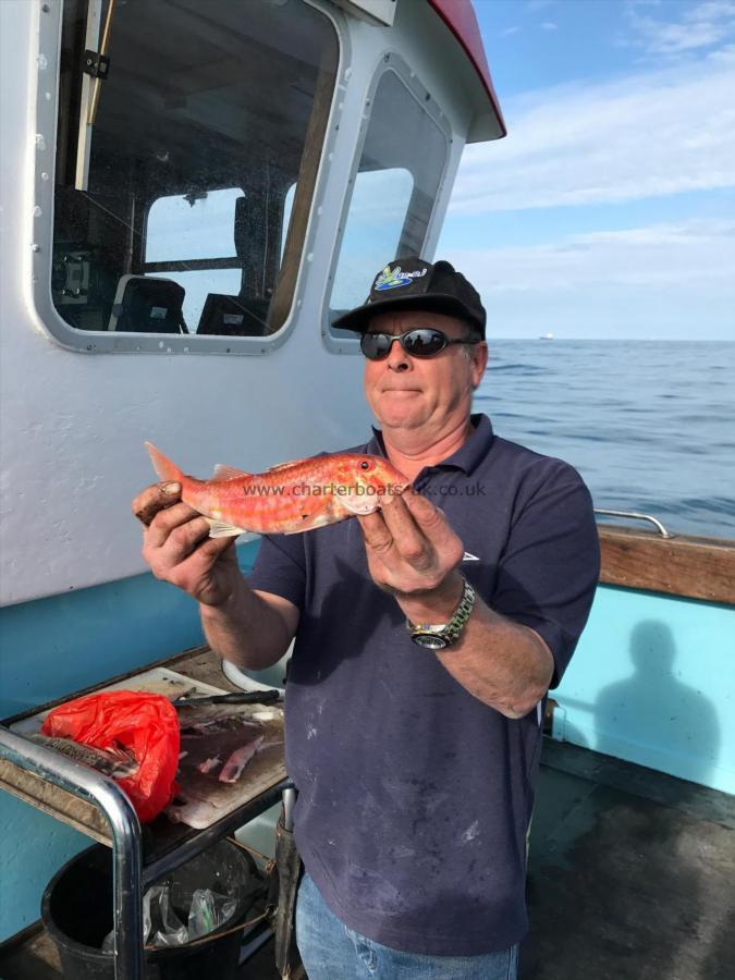1 lb Red Mullet by Unknown