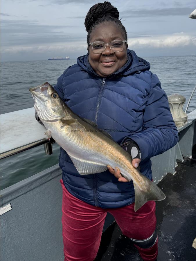 4 lb Pollock by Amelia