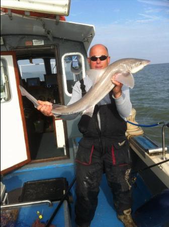 14 lb Smooth-hound by Unknown