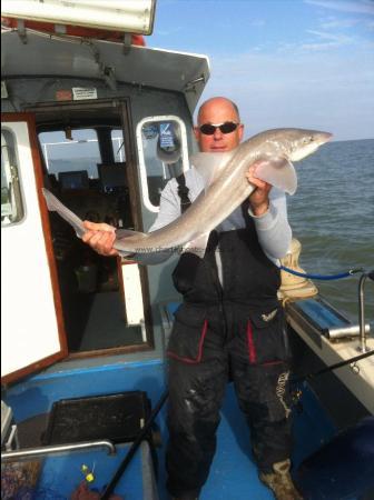 14 lb Smooth-hound (Common) by Unknown