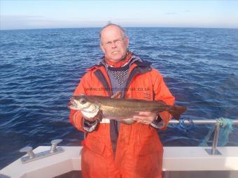 4 lb Pollock by Jerry from Hornsea.