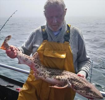 15 lb 8 oz Bull Huss by stewart walker