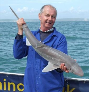 17 lb Spurdog by Dave Metcalf