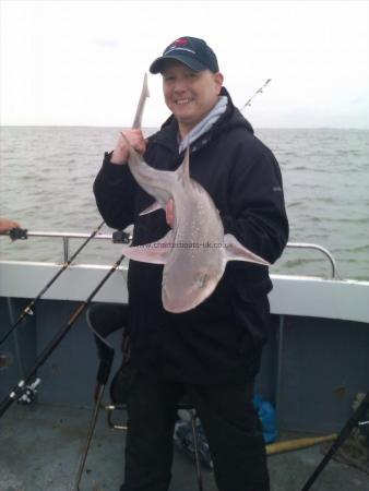 14 lb Smooth-hound (Common) by Ken Jordan