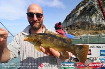 2 lb Ballan Wrasse by Pete