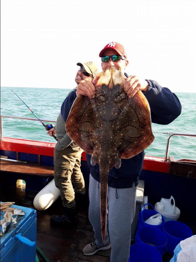 14 lb 8 oz Undulate Ray by Mark Cordell from Reading...