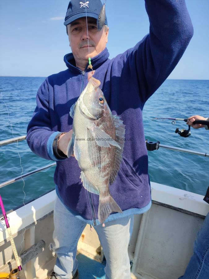 2 lb 8 oz Black Sea Bream by John