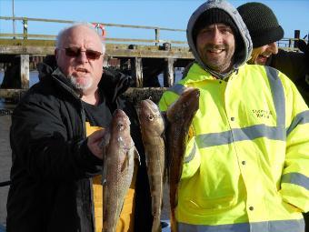 3 lb Cod by Dave