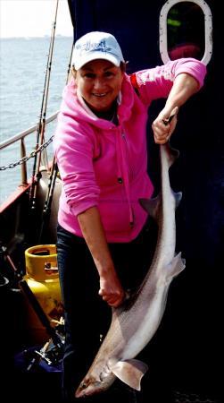 15 lb 2 oz Smooth-hound by Unknown