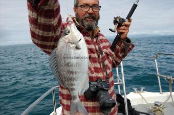 2 lb Black Sea Bream by Unknown