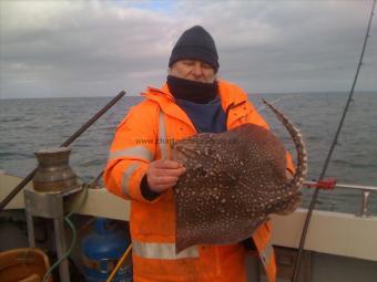 14 lb 14 oz Thornback Ray by chris roberts