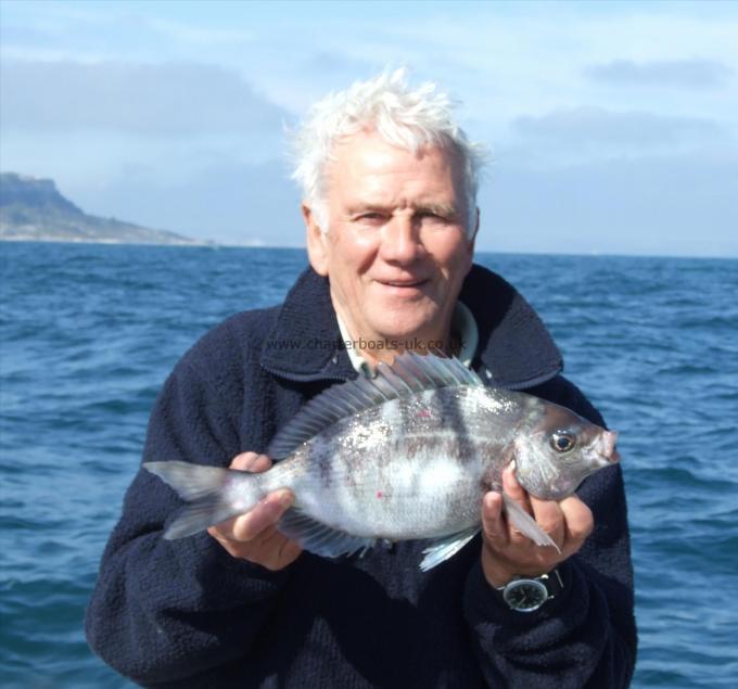 3 lb Black Sea Bream by Paul Costello