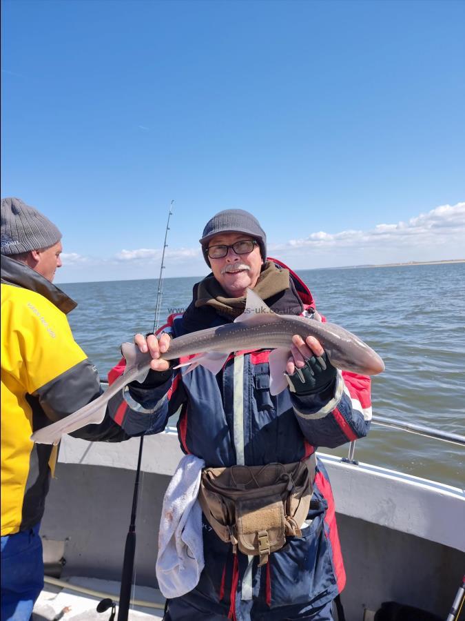 4 lb Starry Smooth-hound by Bob Kelly