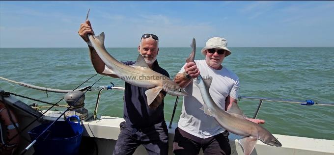 9 lb Starry Smooth-hound by Phil