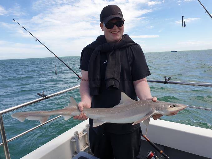 8 lb Starry Smooth-hound by Bob Marshall