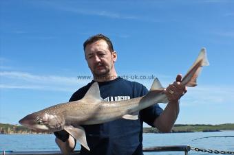 11 lb Starry Smooth-hound by Kev