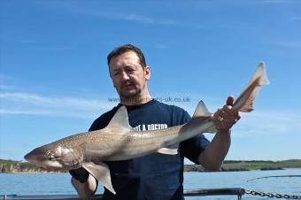 11 lb Starry Smooth-hound by Kev