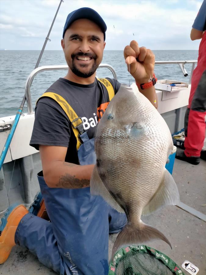 5 lb 2 oz Trigger Fish by Jay Hemming