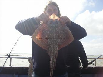 6 lb Thornback Ray by Josh