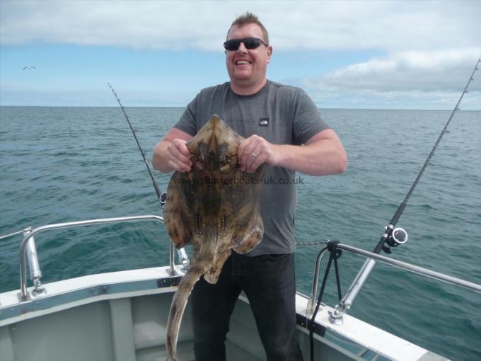 12 lb Undulate Ray by Unknown