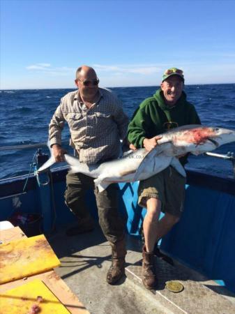 100 lb Blue Shark by Richard heath