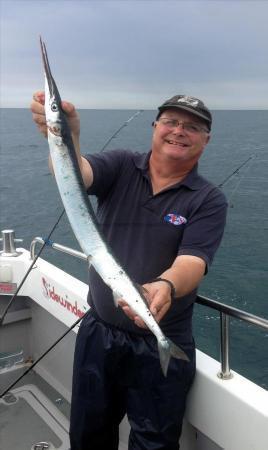 2 lb 8 oz Garfish by Kev