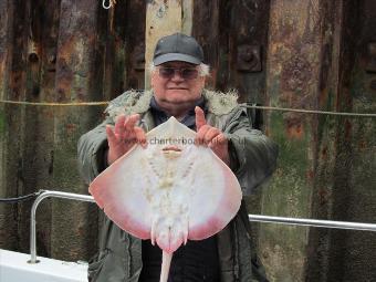 4 lb Thornback Ray by Chalky (Barrie White)