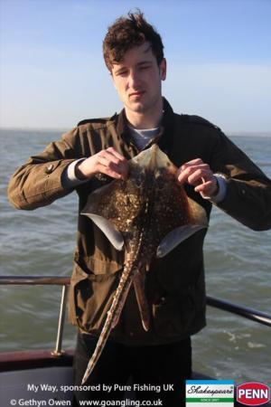 6 lb Thornback Ray by Dave