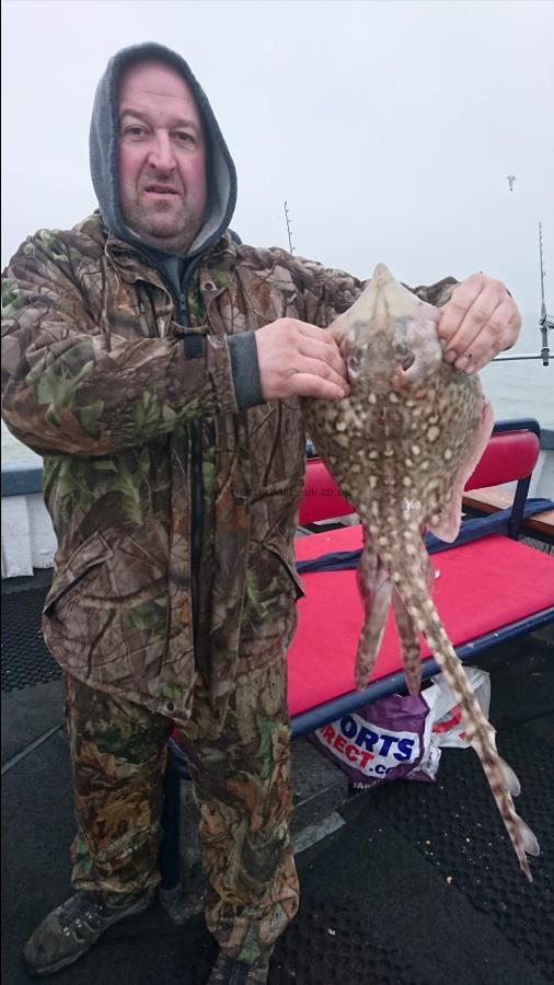 5 lb 2 oz Thornback Ray by Matt from London