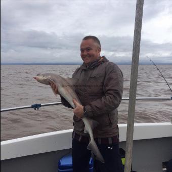 9 lb Smooth-hound by Matt King