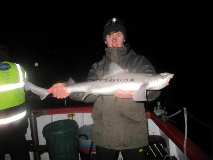 9 lb Starry Smooth-hound by Unknown