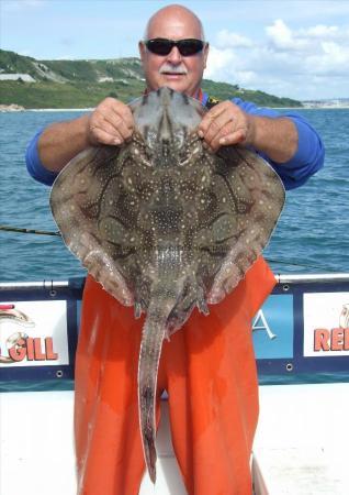 13 lb Undulate Ray by Clive Morgan