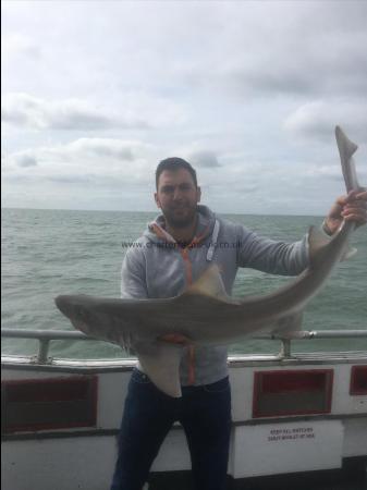18 lb 13 oz Smooth-hound (Common) by Unknown