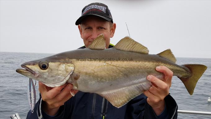 5 lb 8 oz Pollock by Matt (Skipper)