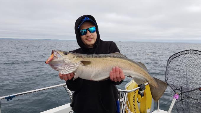 9 lb 8 oz Pollock by Liam