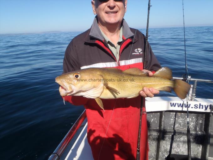 3 lb 8 oz Cod by Unknown