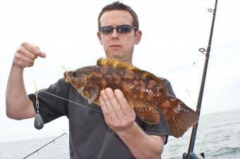 2 lb Ballan Wrasse by Peter