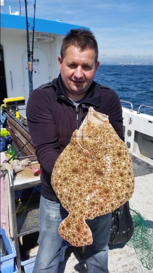 5 lb Turbot by Unknown