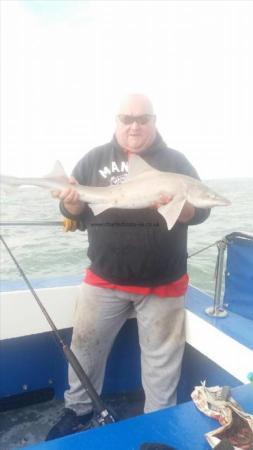 11 lb Smooth-hound by Darren