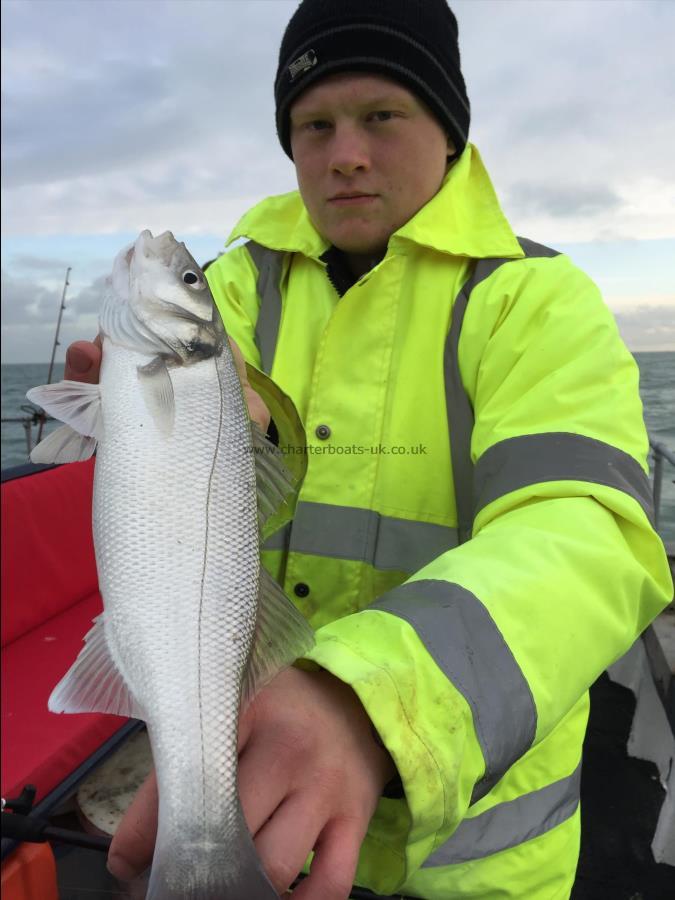 2 lb Bass by Damo from Margate