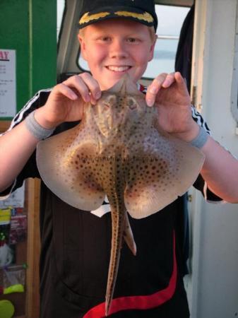 2 lb Spotted Ray by Harry