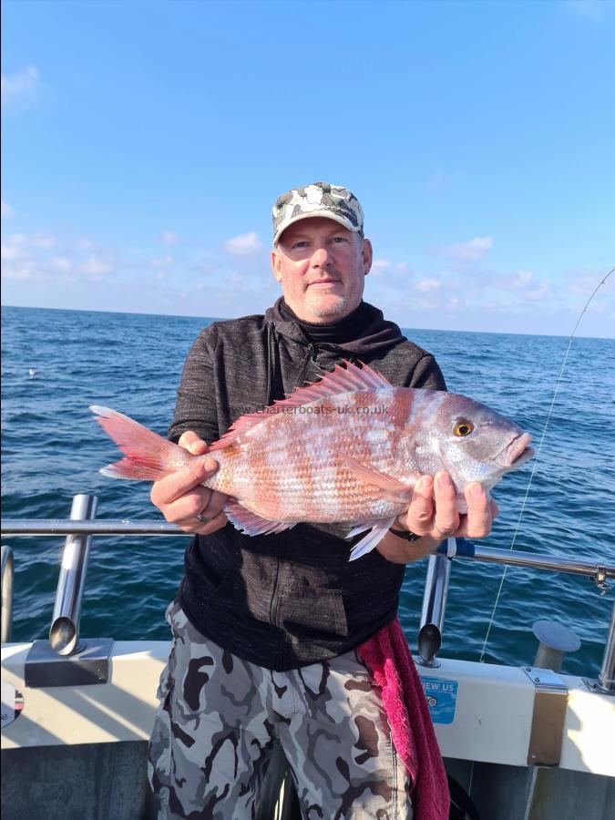 3 lb 8 oz Couch's Sea Bream by Unknown