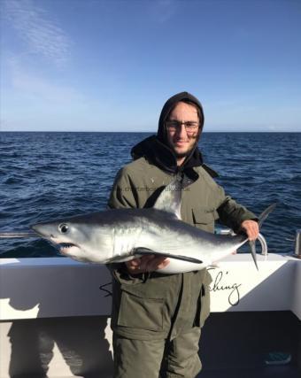 50 lb Porbeagle by Kieron Farmer